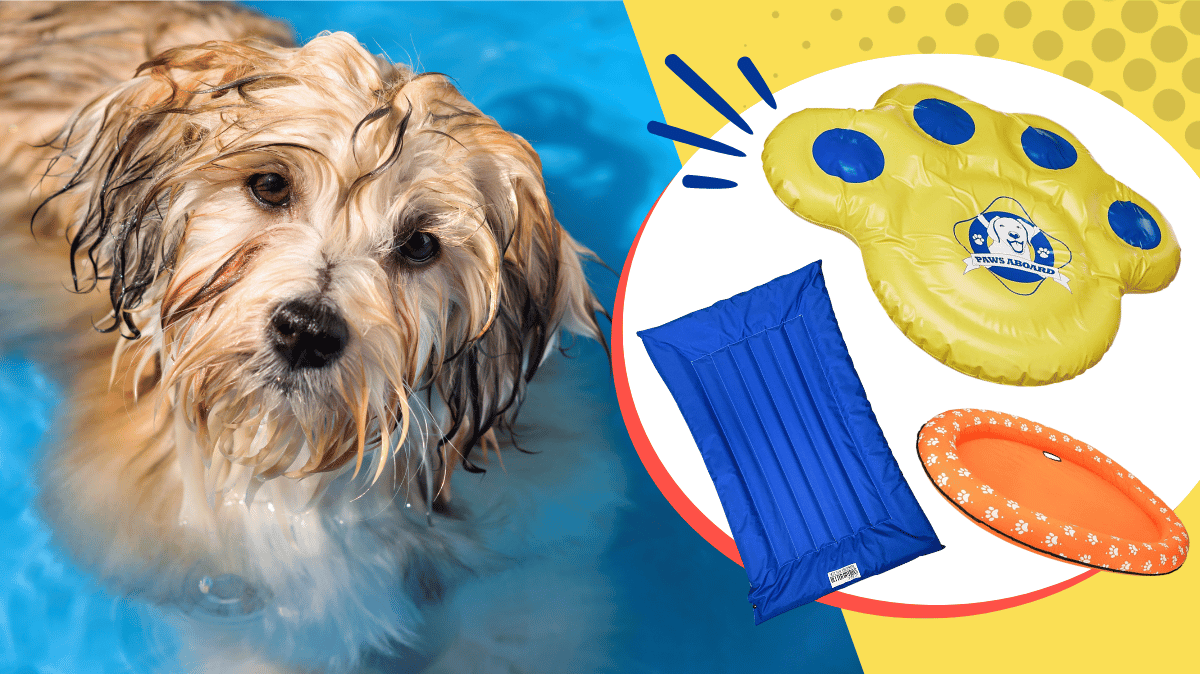 Dog friendly best sale pool floats